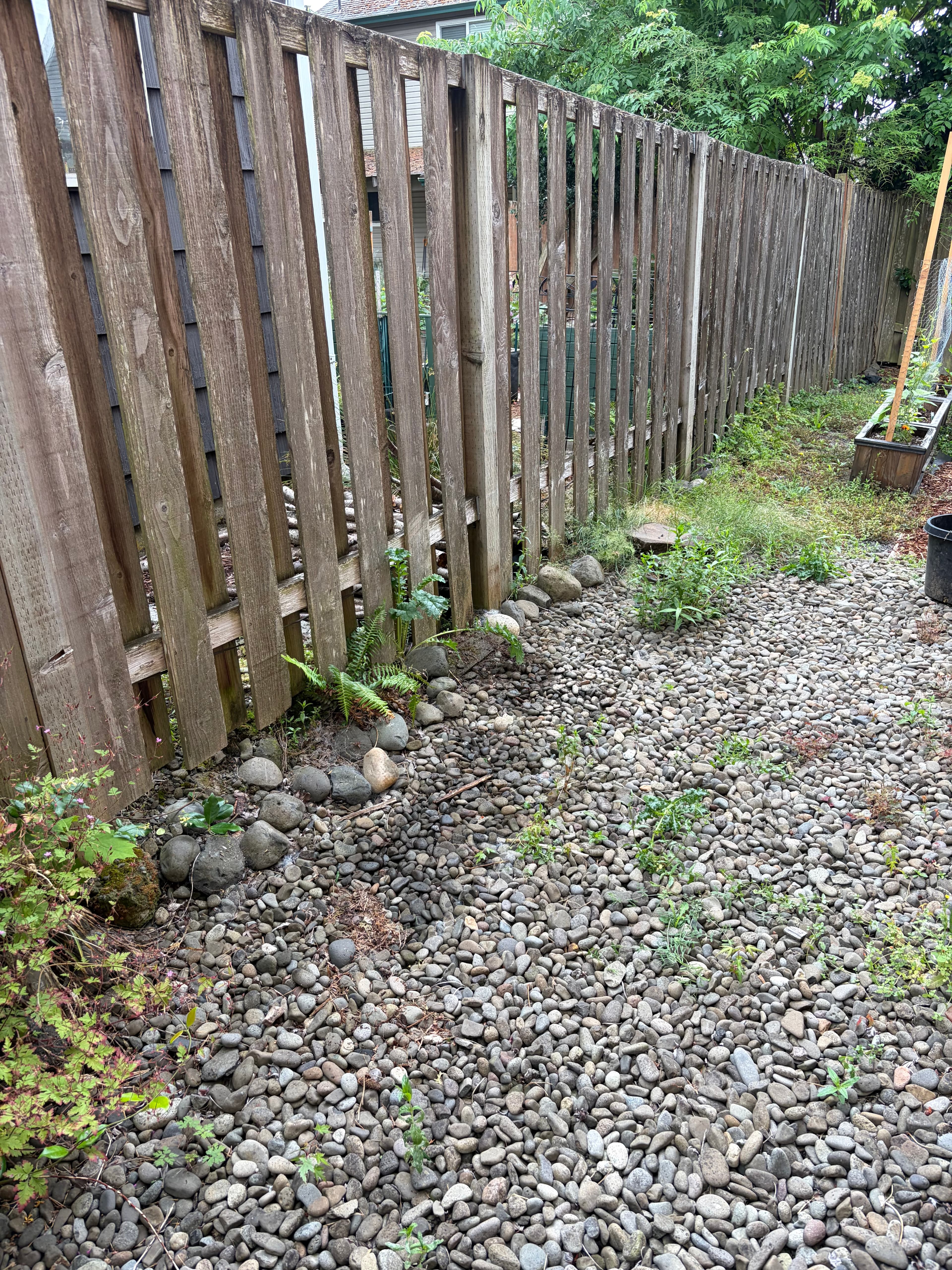 Weathered wooden slat fence bordering a ground area covered in small grey river rocks.